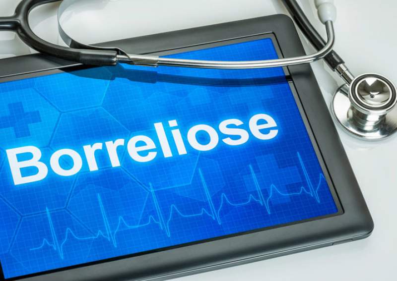 Borreliose